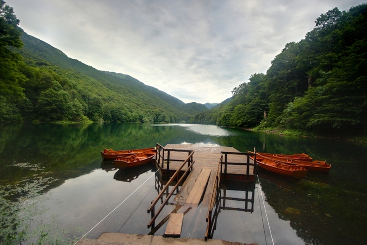 Biogradska Gora